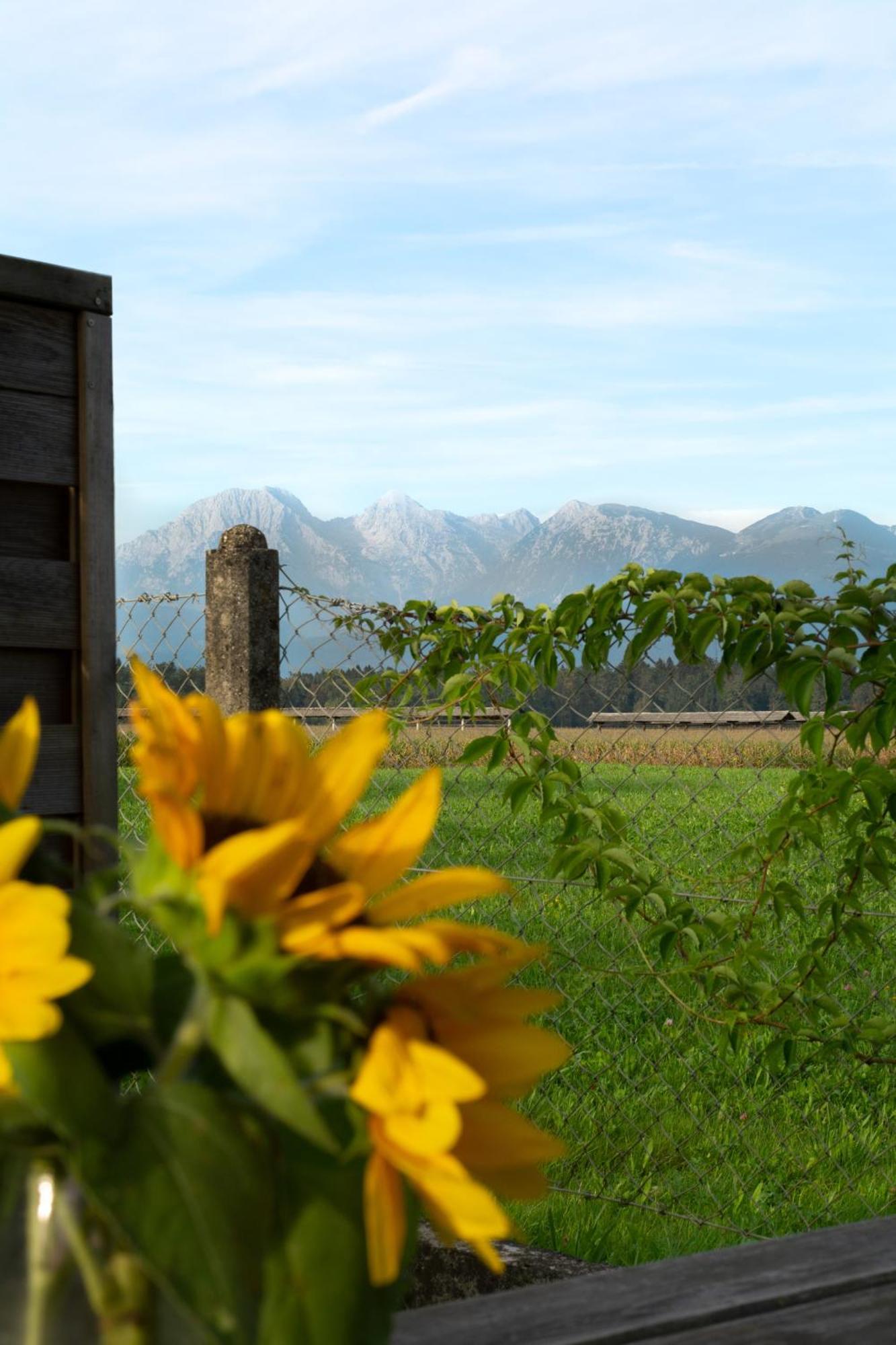 Вилла Glamping With A View Смледник Экстерьер фото